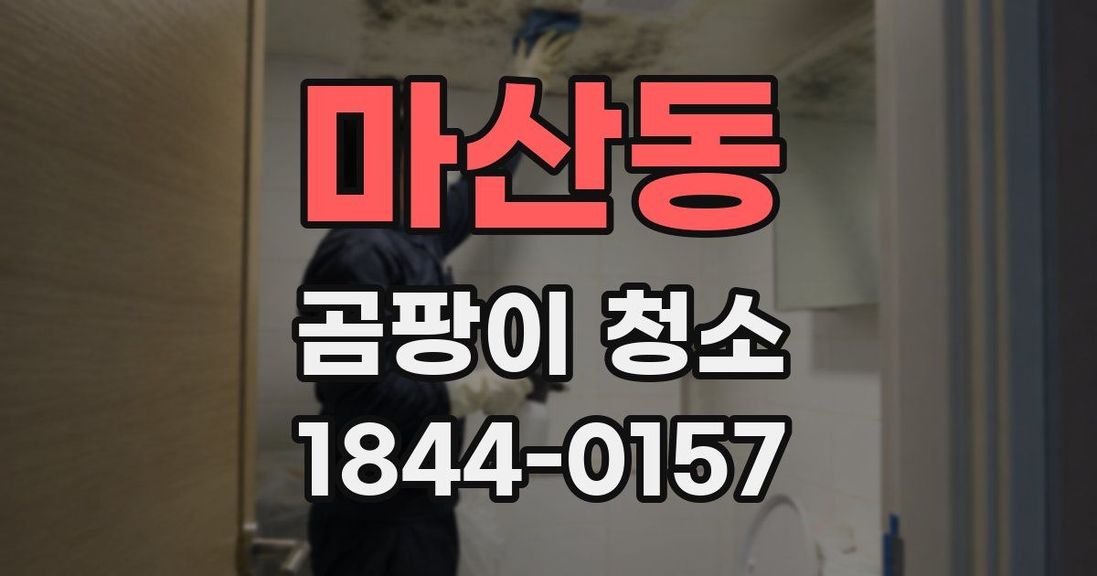 마산동 곰팡이 청소
