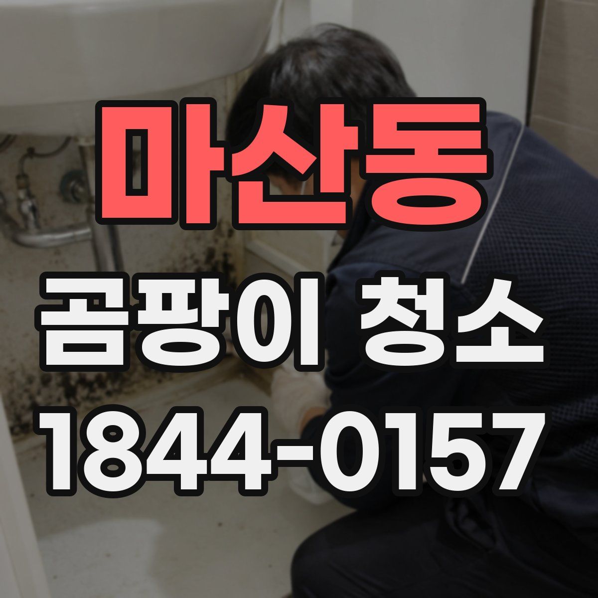 마산동 곰팡이 청소