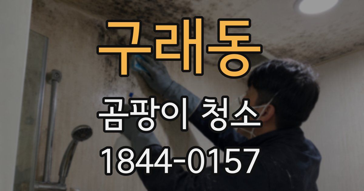구래동 곰팡이 청소