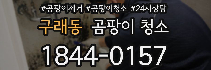 구래동 곰팡이 청소