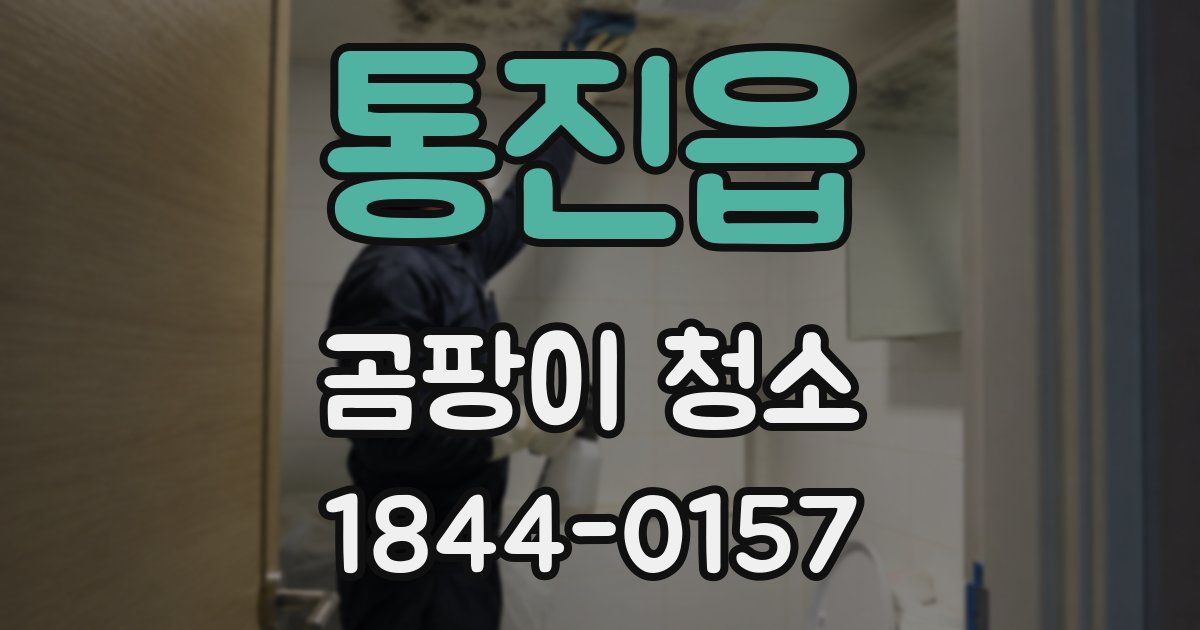 통진읍 곰팡이 청소