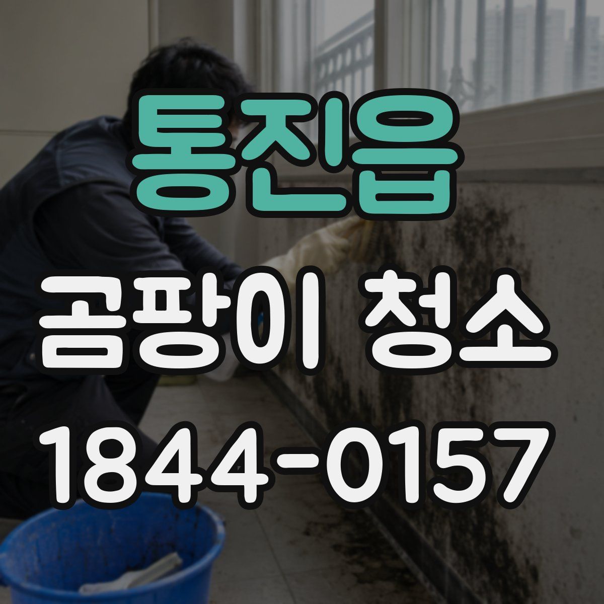 통진읍 곰팡이 청소