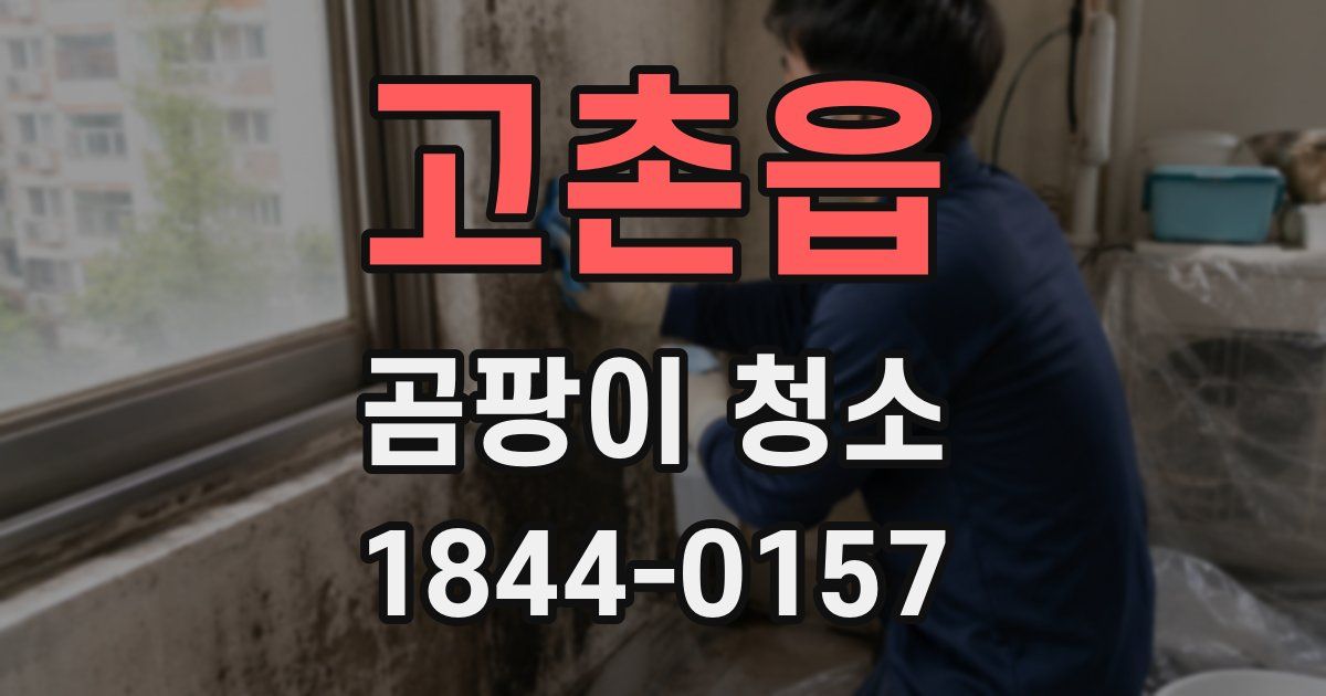 고촌읍 곰팡이 청소