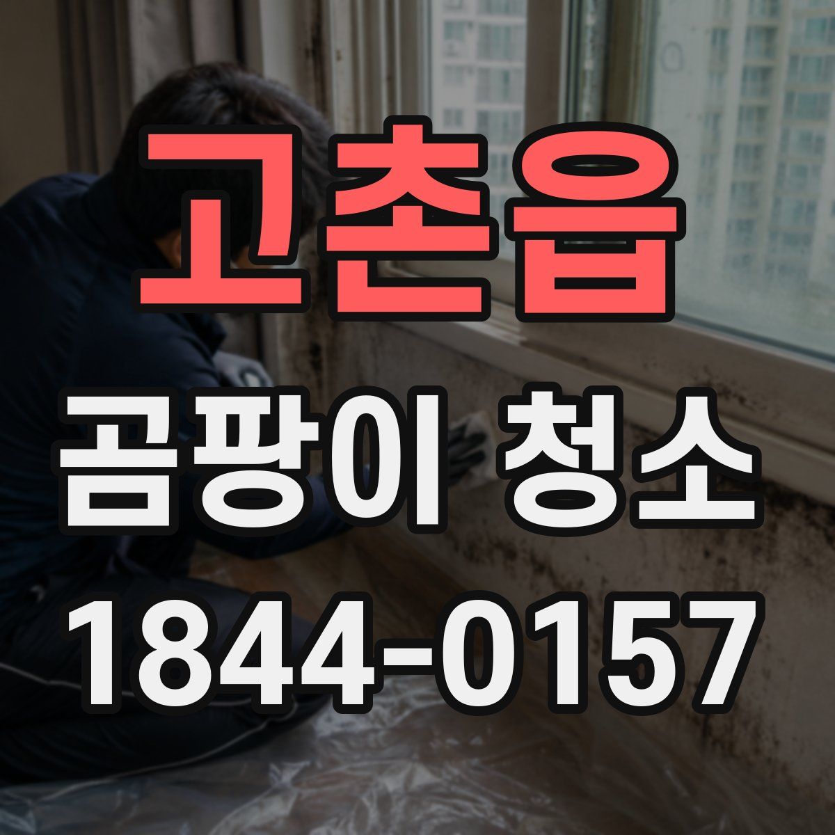 고촌읍 곰팡이 청소