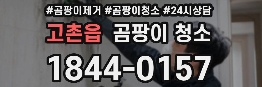 고촌읍 곰팡이 청소