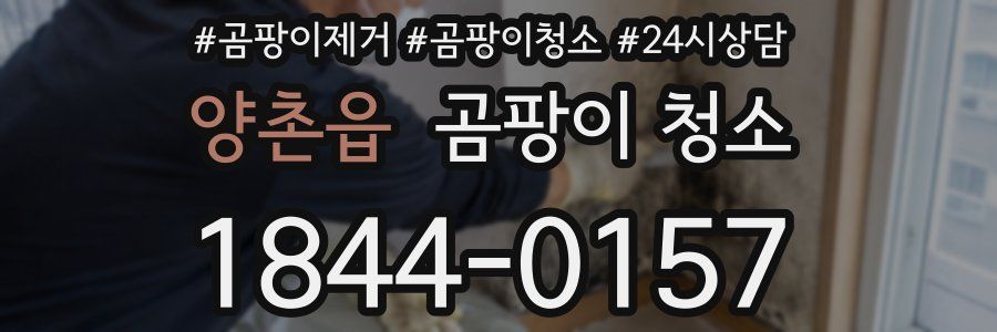양촌읍 곰팡이 청소