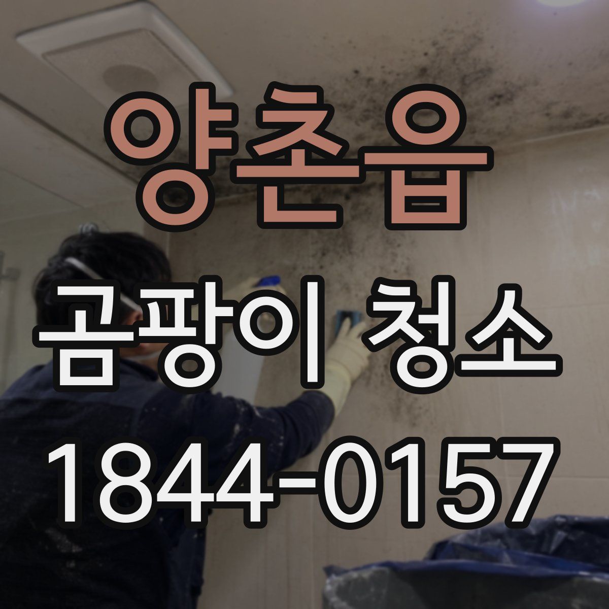 양촌읍 곰팡이 청소