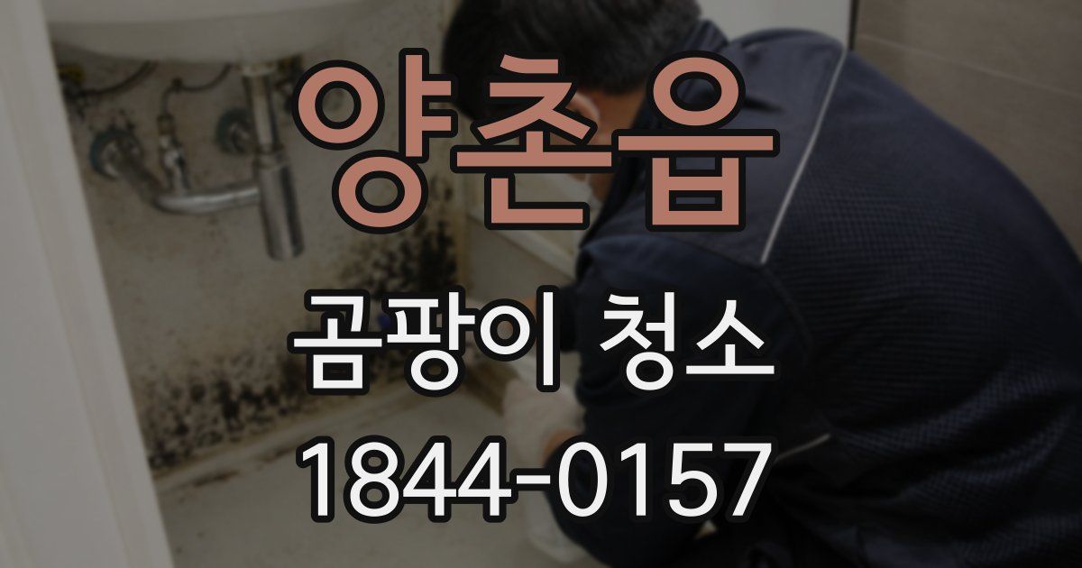 양촌읍 곰팡이 청소