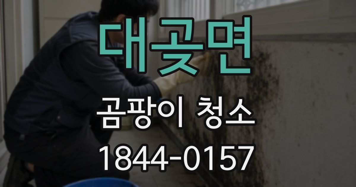 대곶면 곰팡이 청소