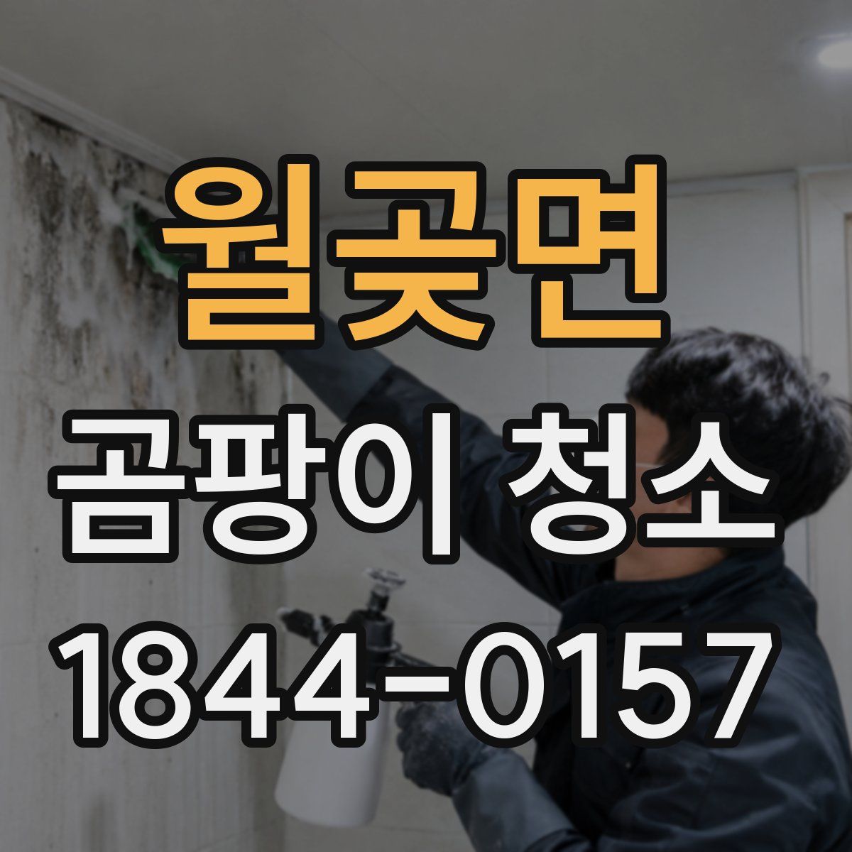월곶면 곰팡이 청소