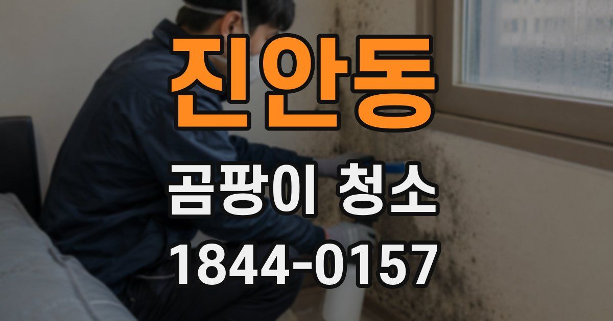 진안동 곰팡이 청소