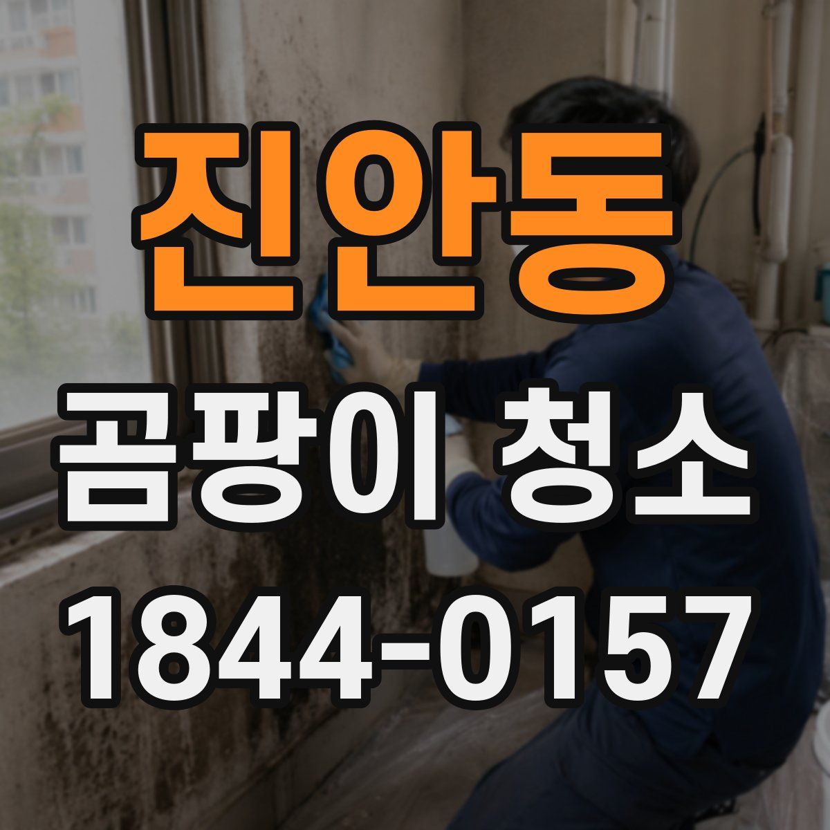 진안동 곰팡이 청소