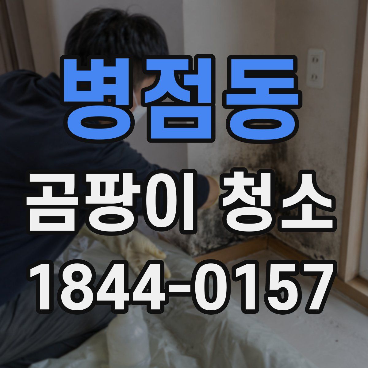 병점동 곰팡이 청소