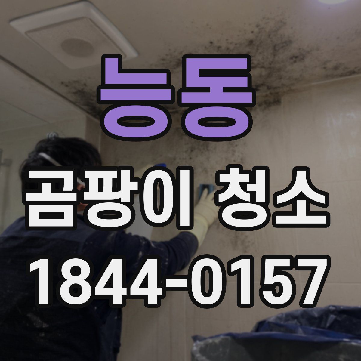 능동 곰팡이 청소