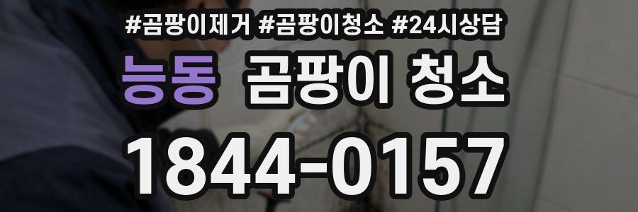 능동 곰팡이 청소