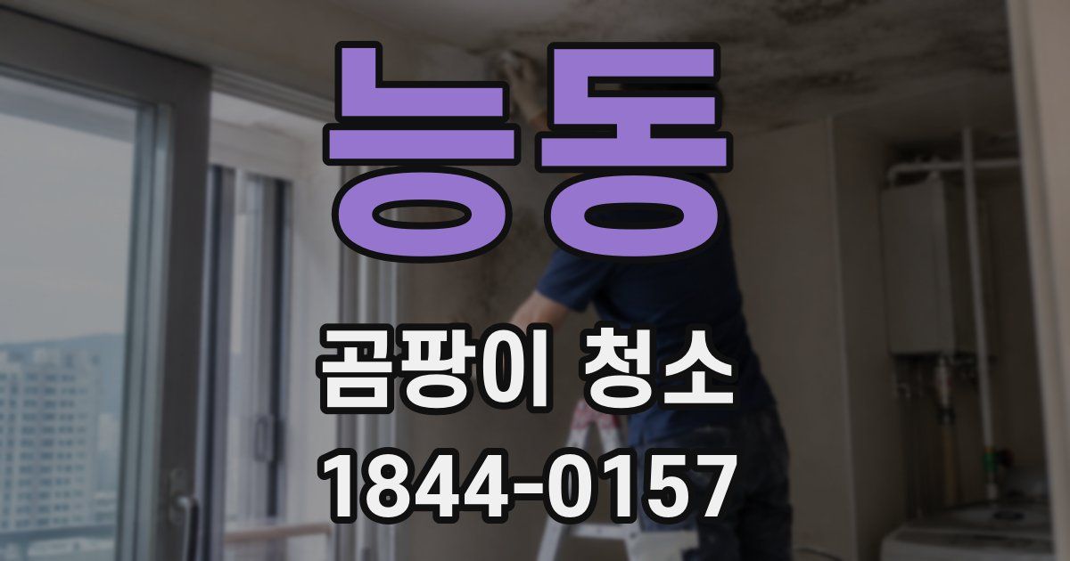 능동 곰팡이 청소