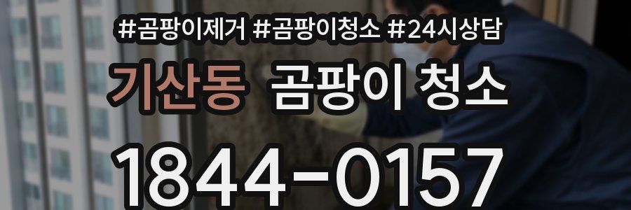 기산동 곰팡이 청소