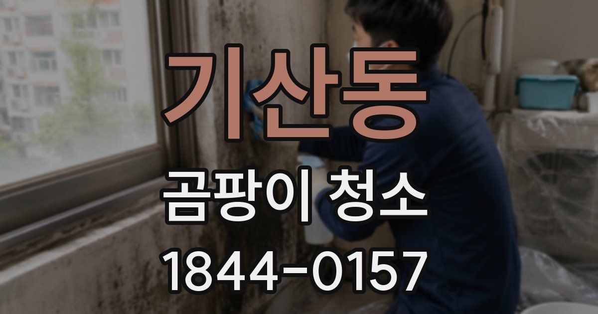 기산동 곰팡이 청소