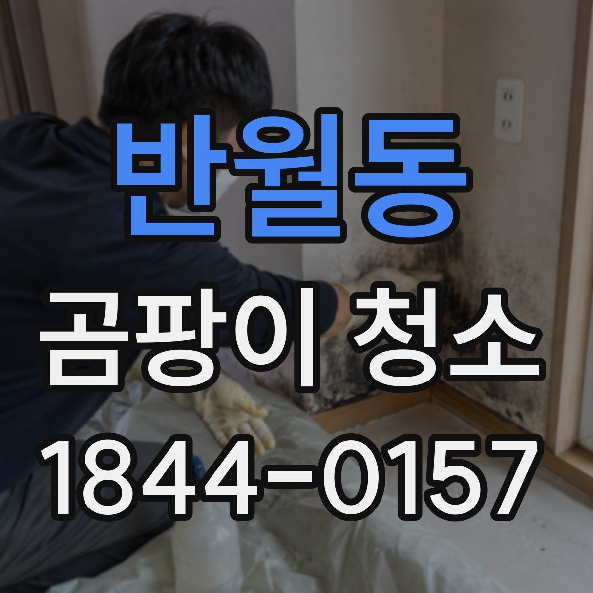 반월동 곰팡이 청소