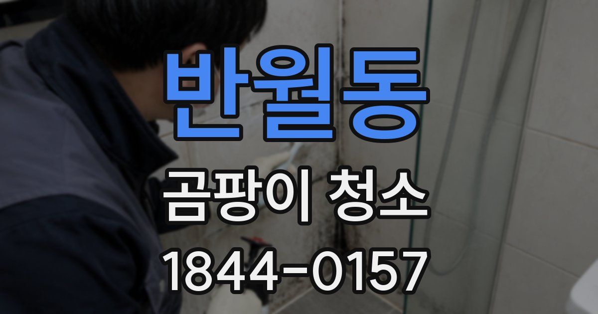 반월동 곰팡이 청소