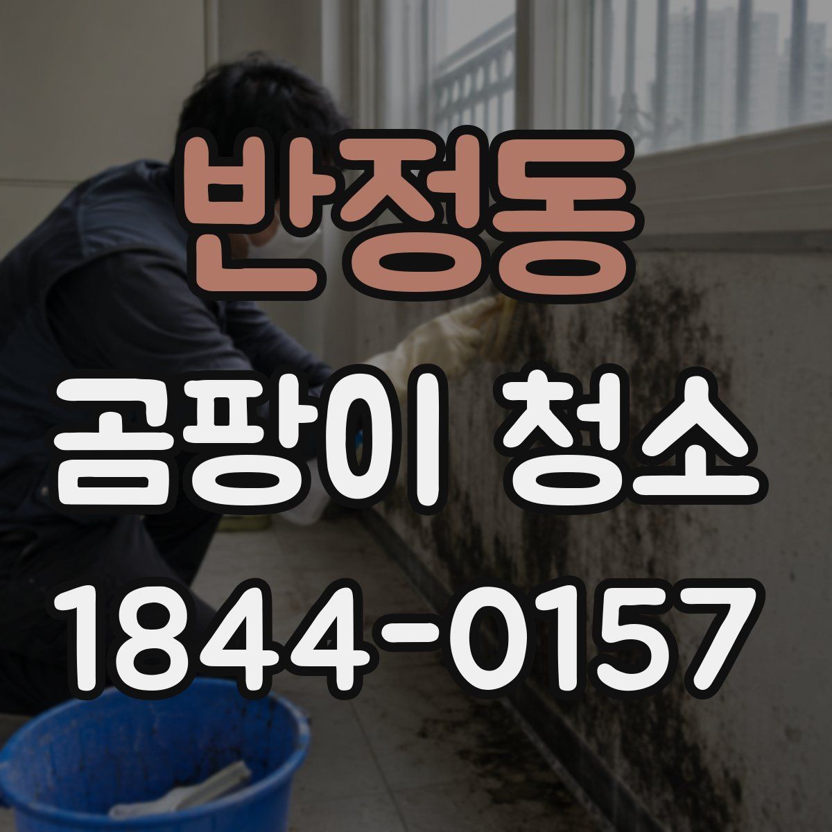 반정동 곰팡이 청소