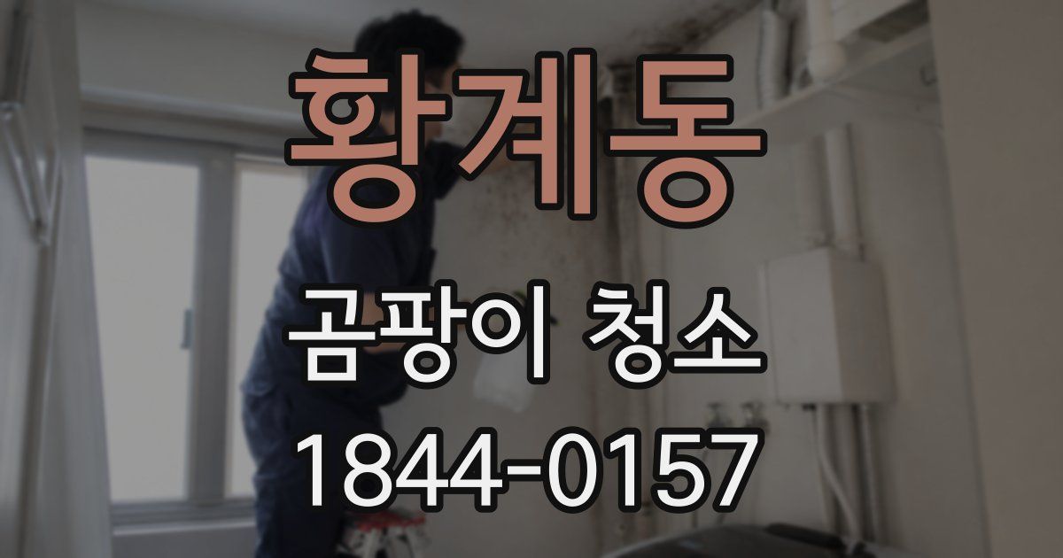 황계동 곰팡이 청소