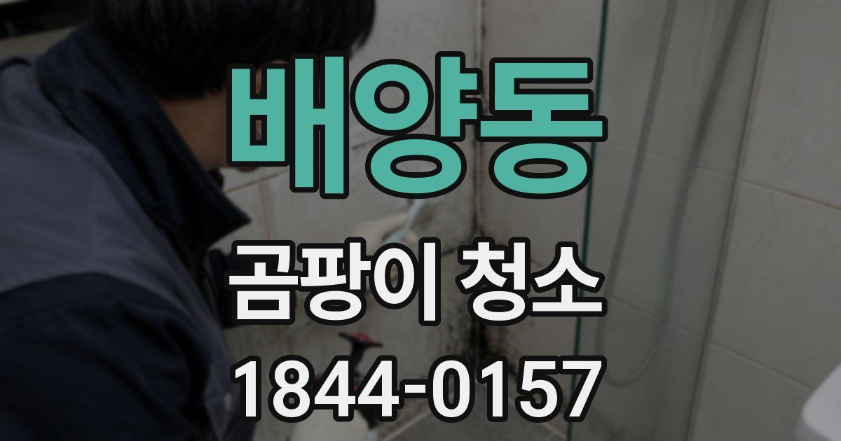 배양동 곰팡이 청소