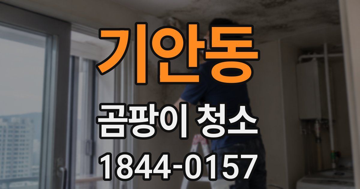 기안동 곰팡이 청소