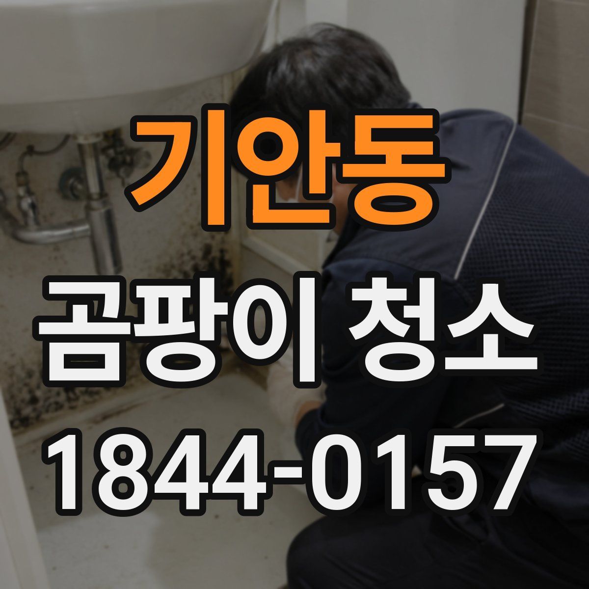 기안동 곰팡이 청소