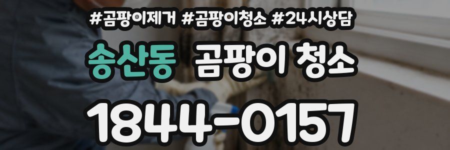 송산동 곰팡이 청소