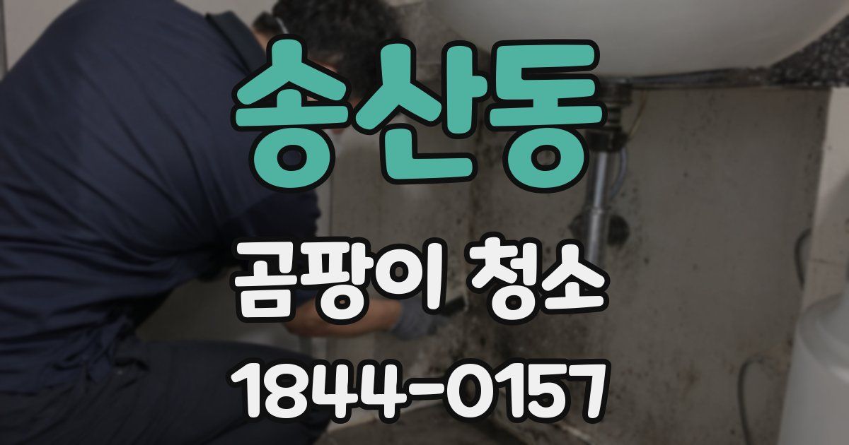 송산동 곰팡이 청소