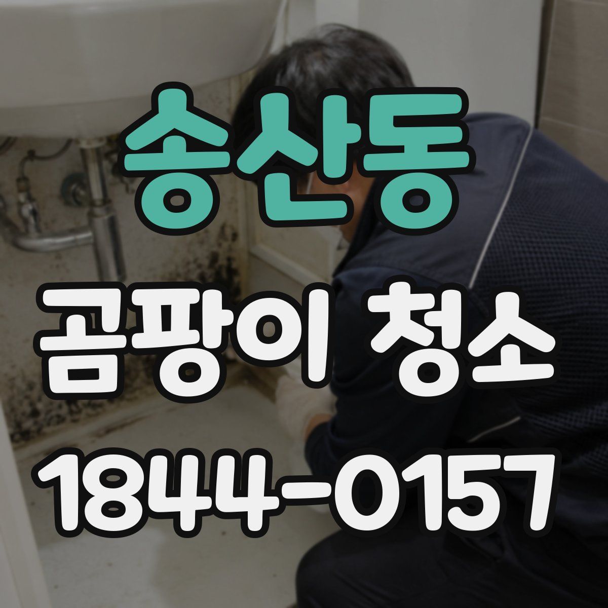 송산동 곰팡이 청소
