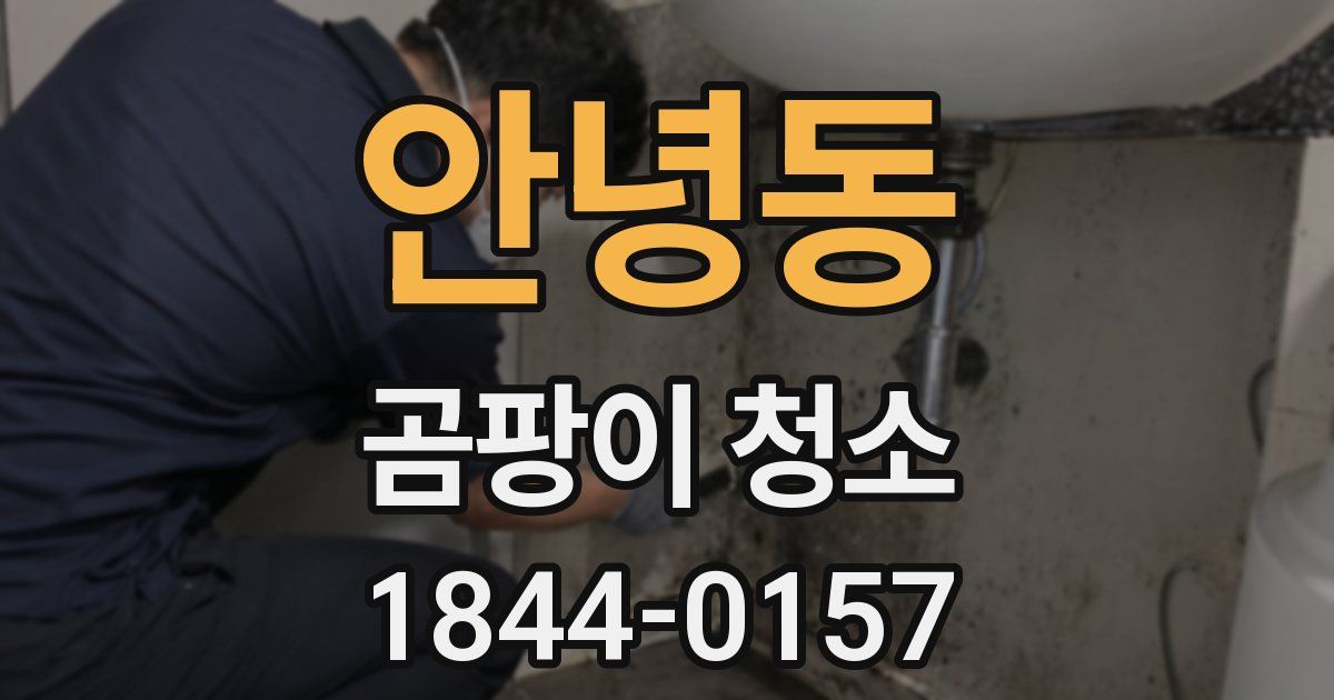안녕동 곰팡이 청소