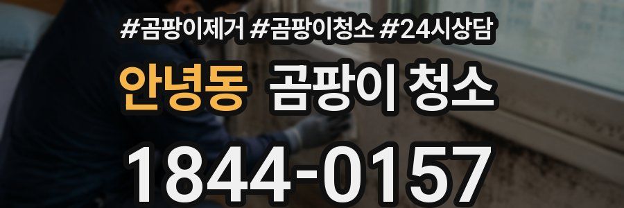 안녕동 곰팡이 청소