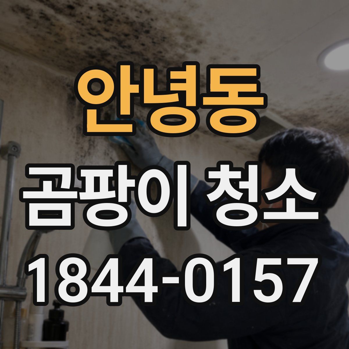 안녕동 곰팡이 청소