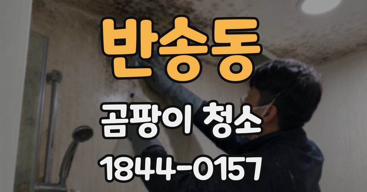 반송동 곰팡이 청소