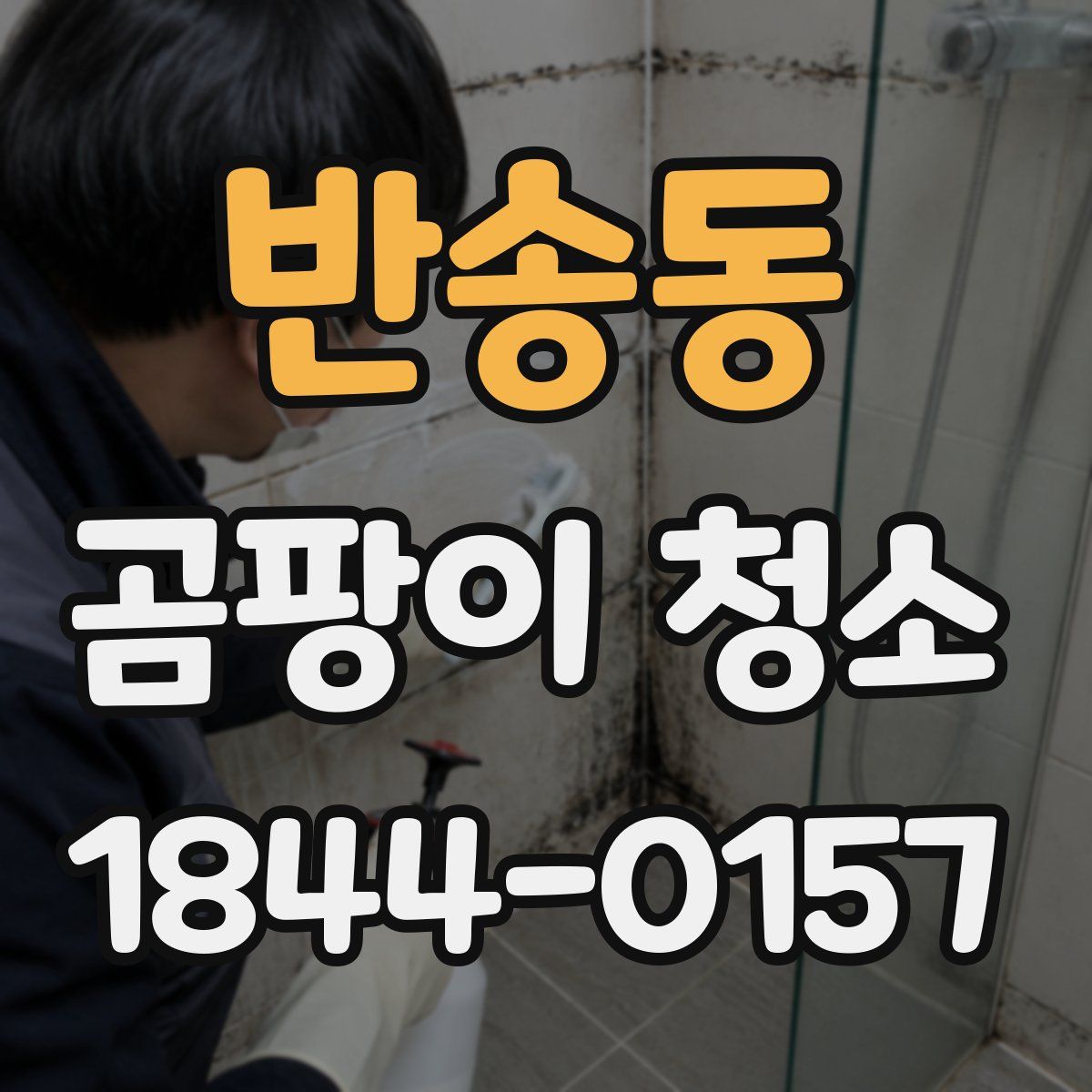 반송동 곰팡이 청소