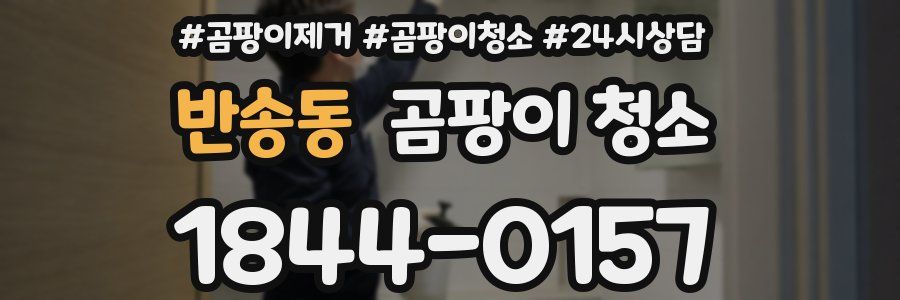 반송동 곰팡이 청소