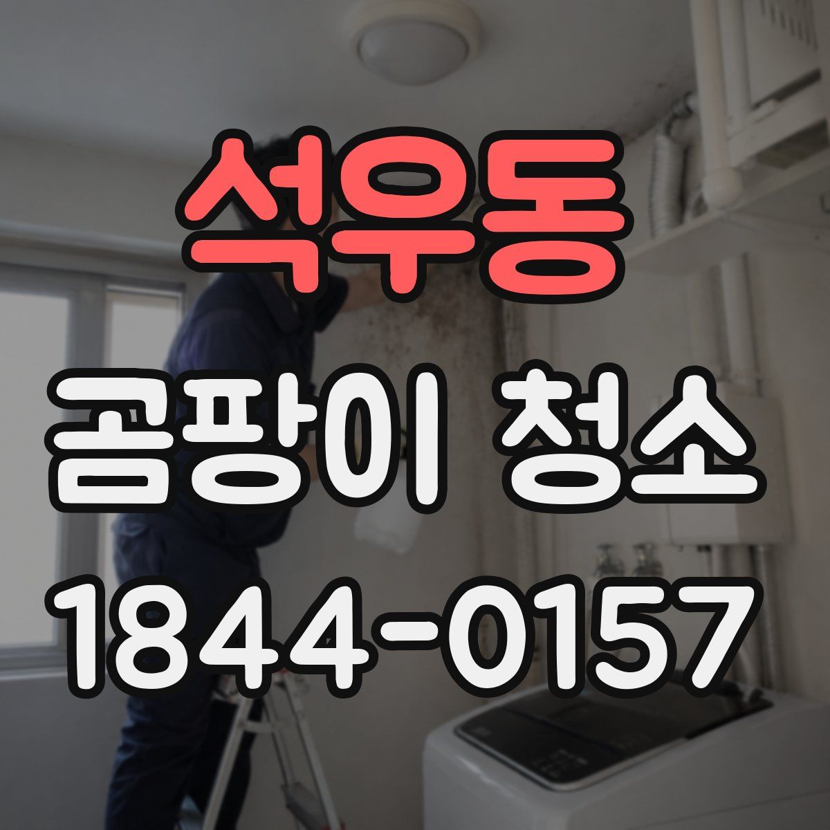 석우동 곰팡이 청소