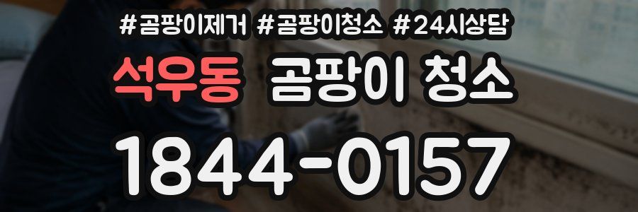 석우동 곰팡이 청소