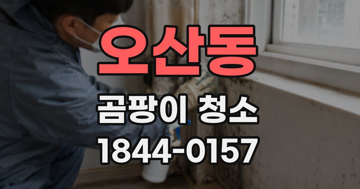 오산동 곰팡이 청소