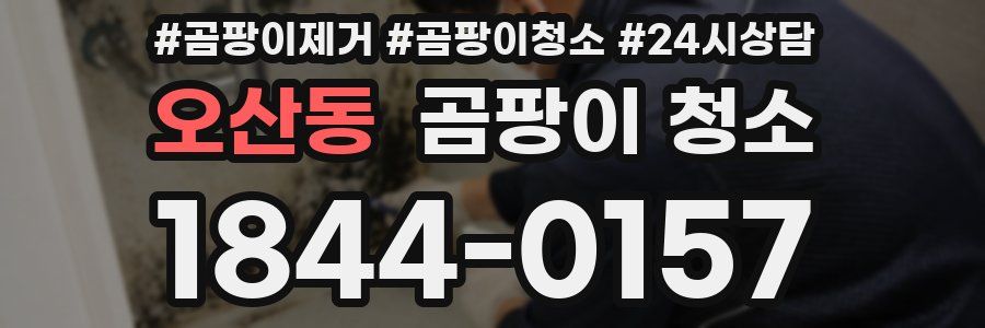 오산동 곰팡이 청소