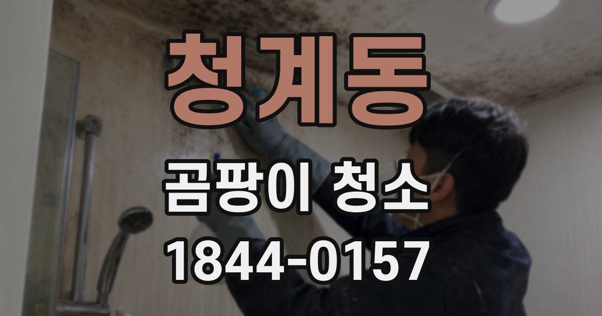 청계동 곰팡이 청소