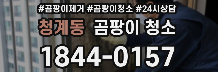 청계동 곰팡이 청소