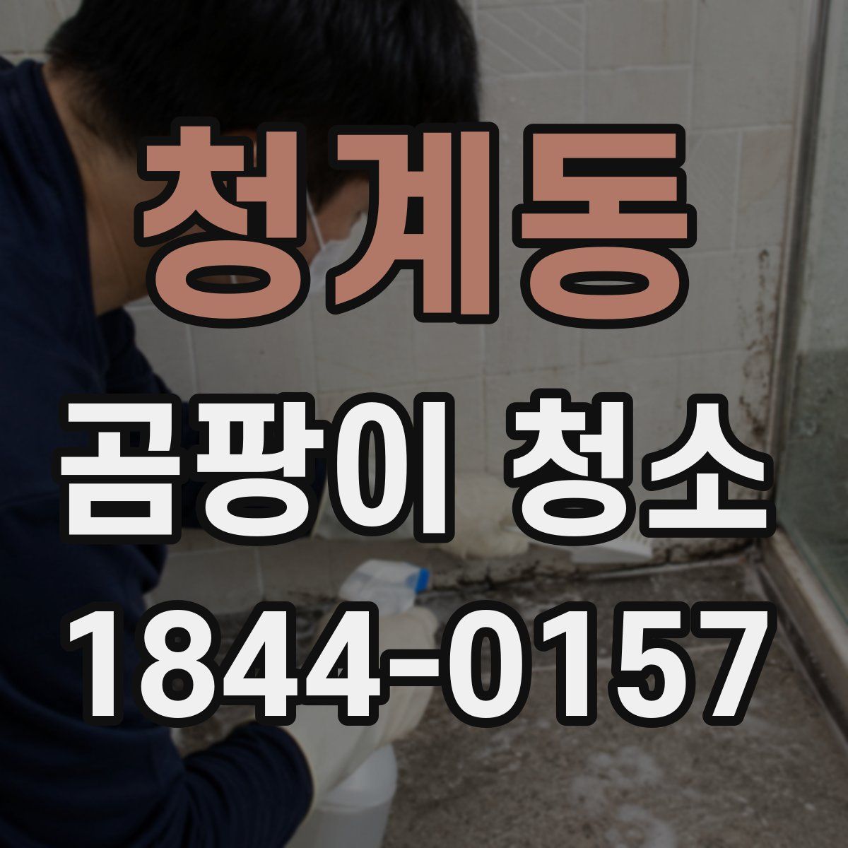 청계동 곰팡이 청소