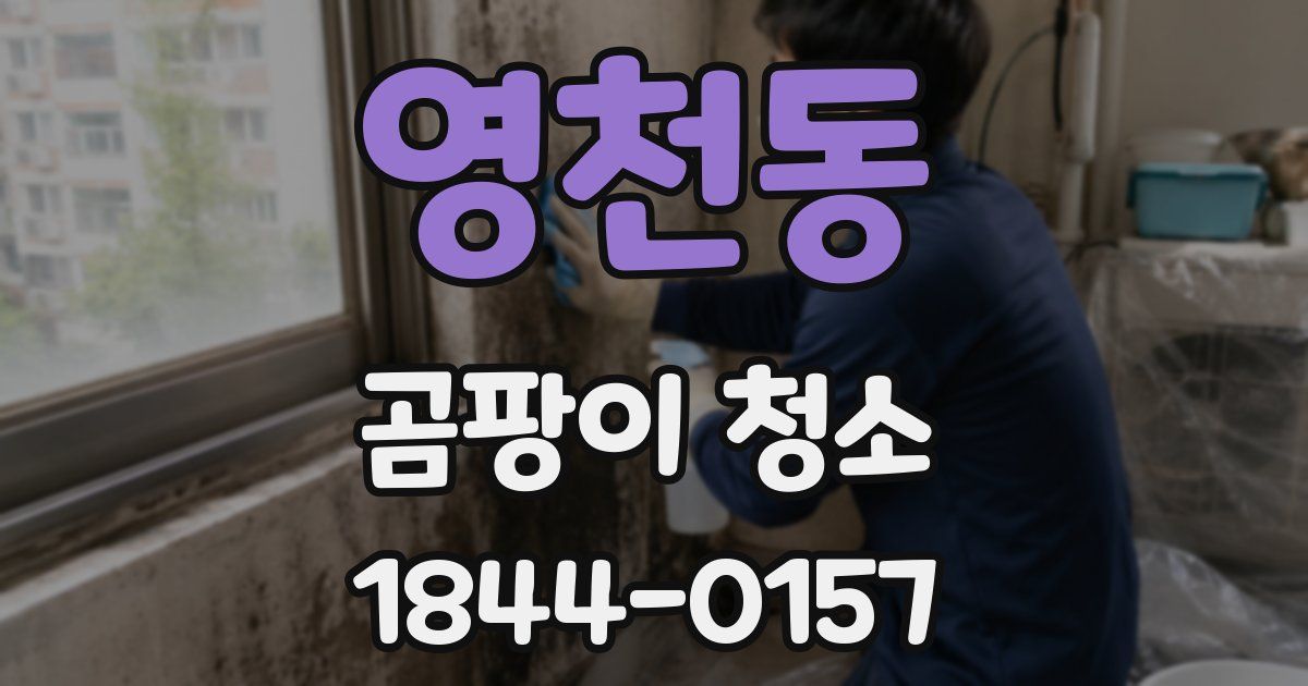 영천동 곰팡이 청소