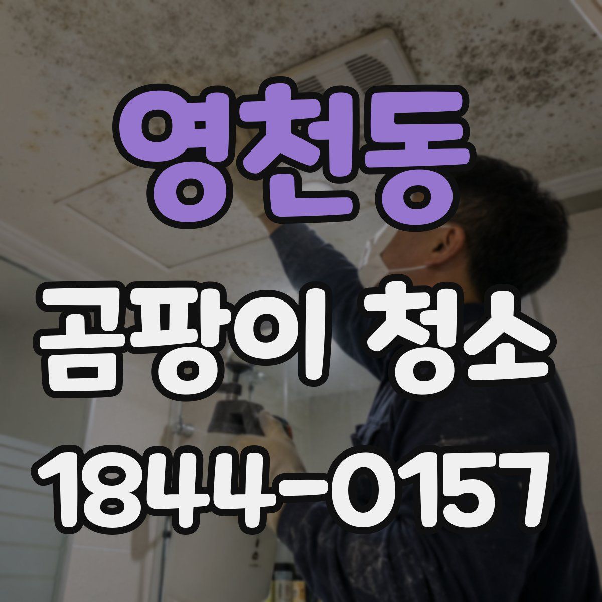 영천동 곰팡이 청소