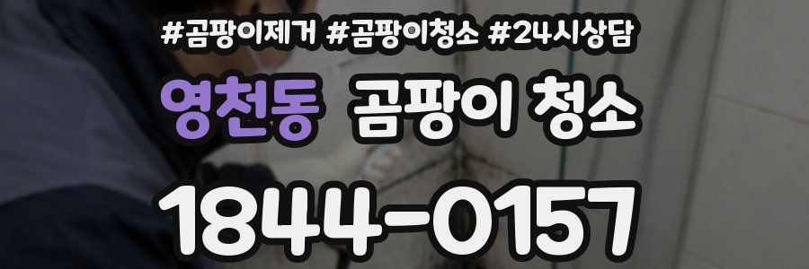 영천동 곰팡이 청소
