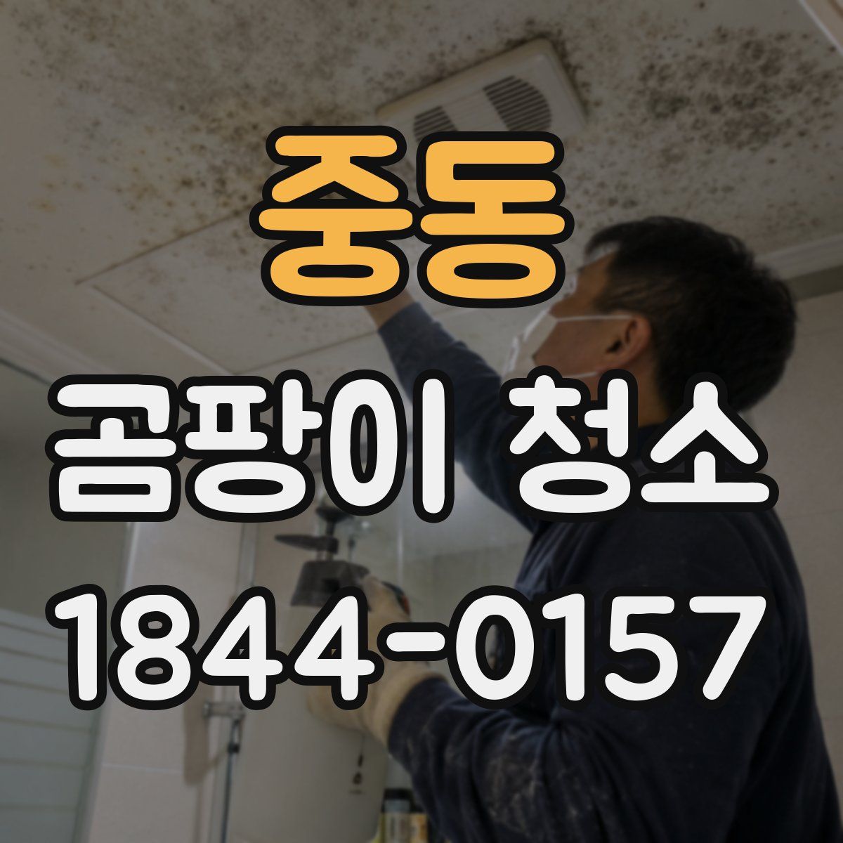 중동 곰팡이 청소