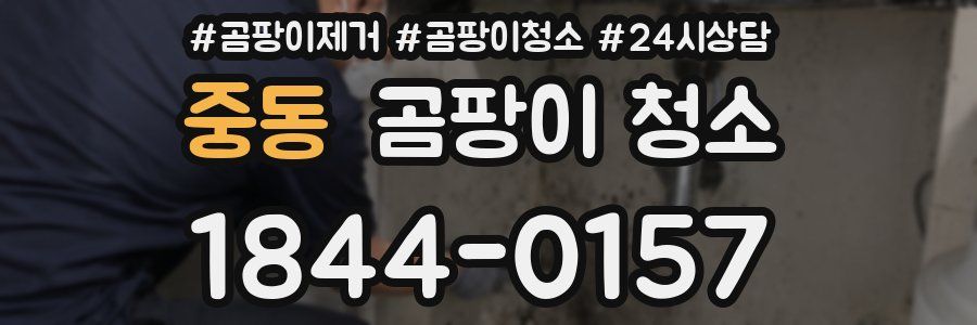 중동 곰팡이 청소